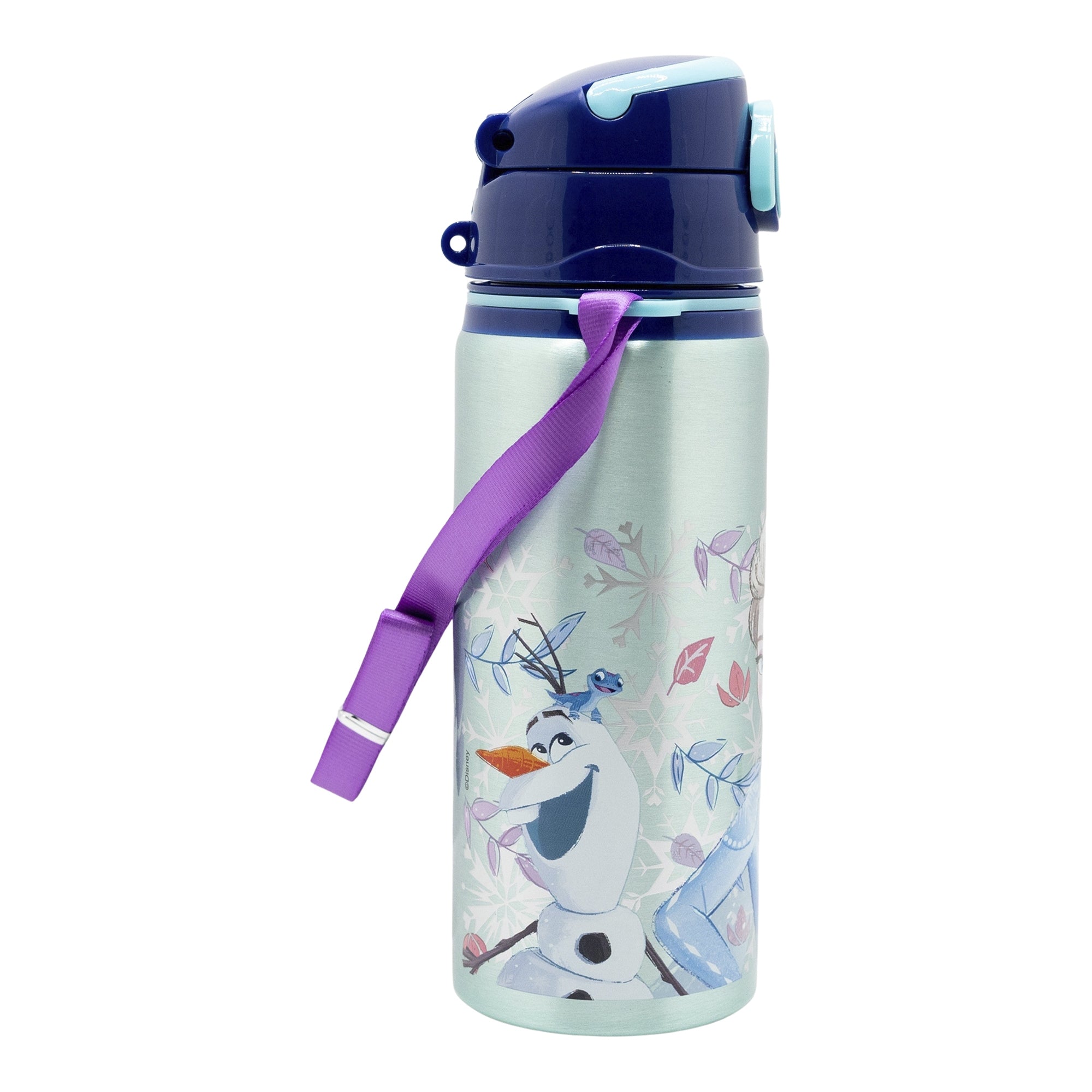 Vatnsbrúsi -  álbrúsi 730 ml- Frozen