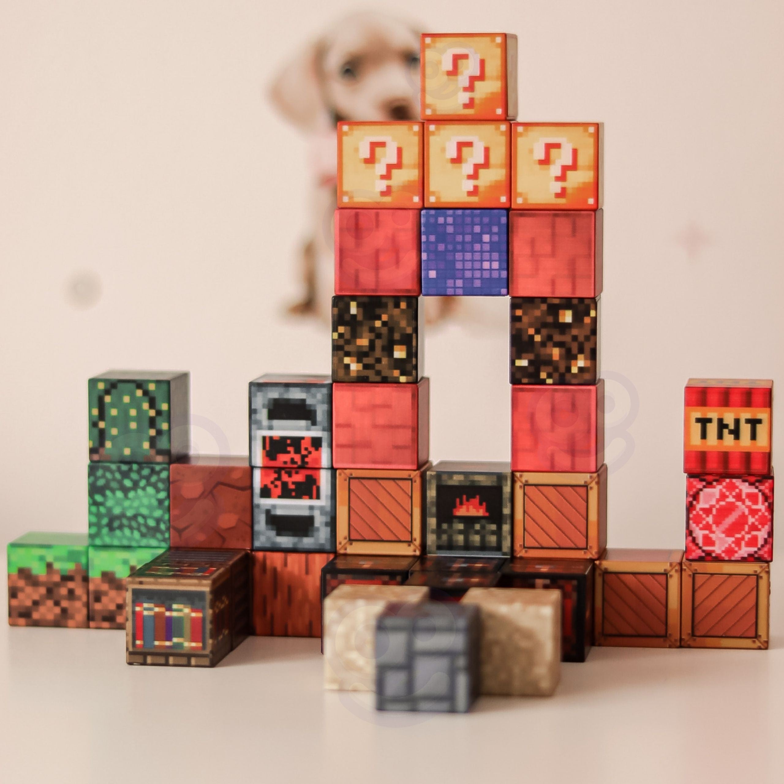 WOOPIE 3D Segulkubbar - Fraeðandi sett