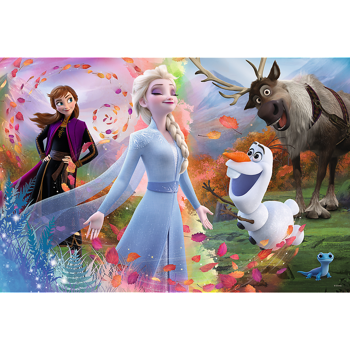 Púsluspil - Frozen 24 púsl
