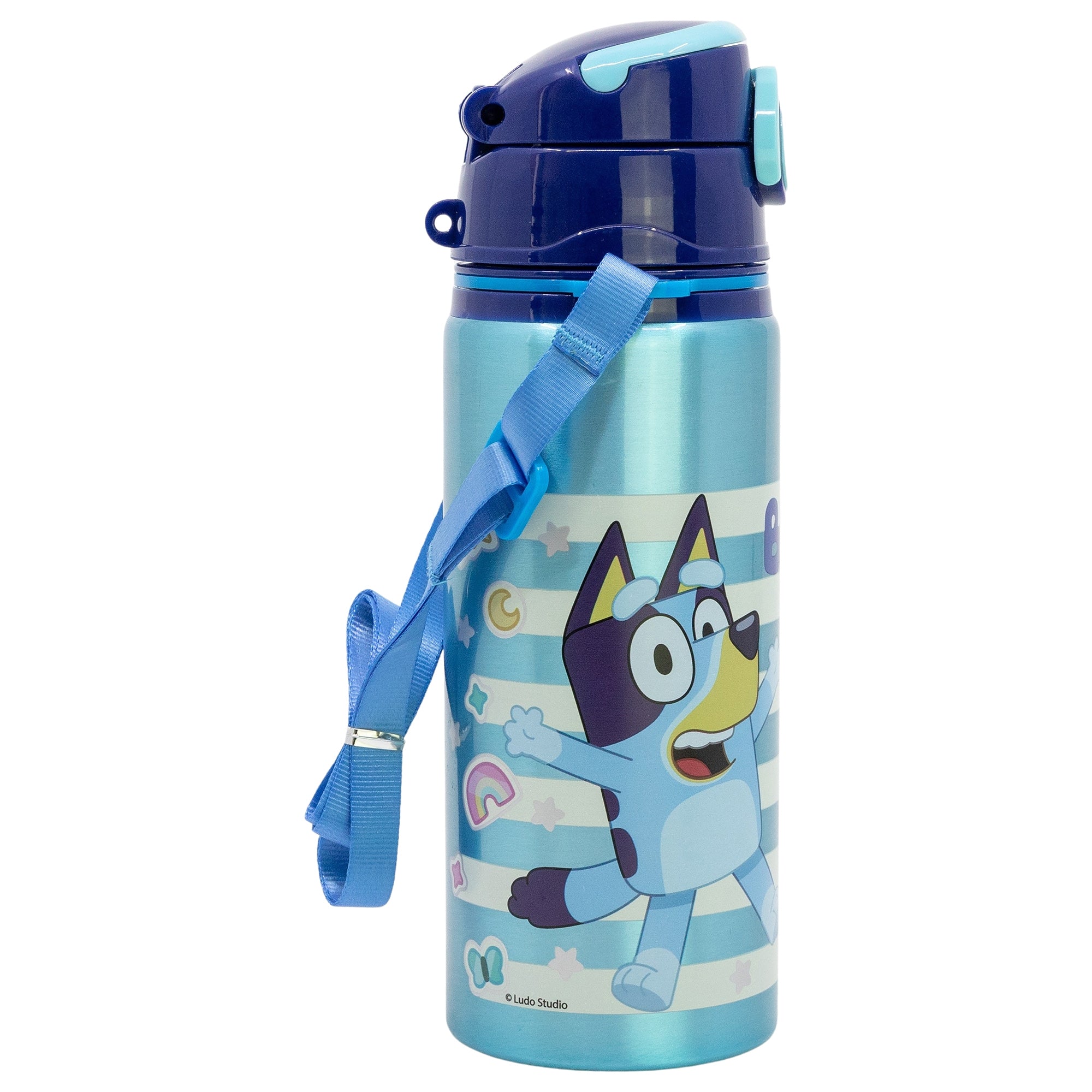 Vatnsbrúsi -  álbrúsi 730 ml- Bluey/Blækja