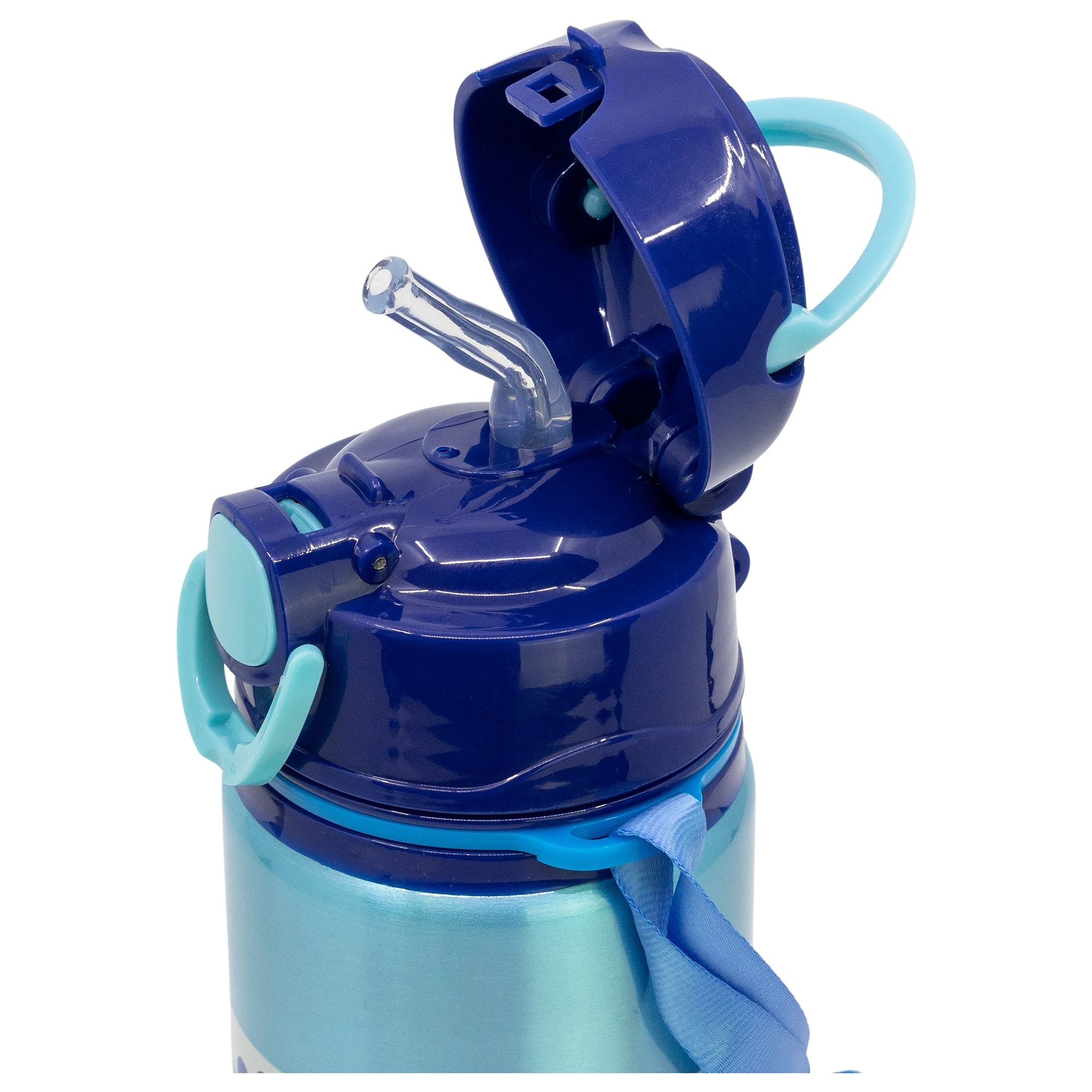 Vatnsbrúsi -  álbrúsi 730 ml- Bluey/Blækja