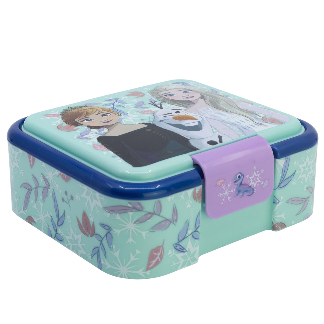 Nestisbox Fjölhólfa Lúxus Nestisbox - Frozen