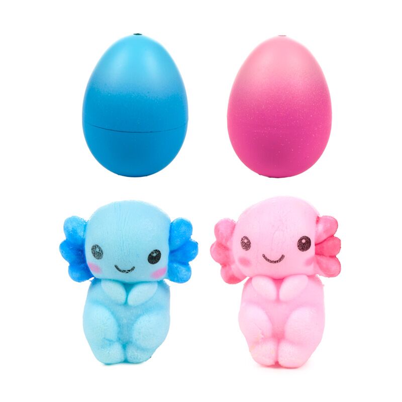 Salamöndrur  egg til að setja í vatn