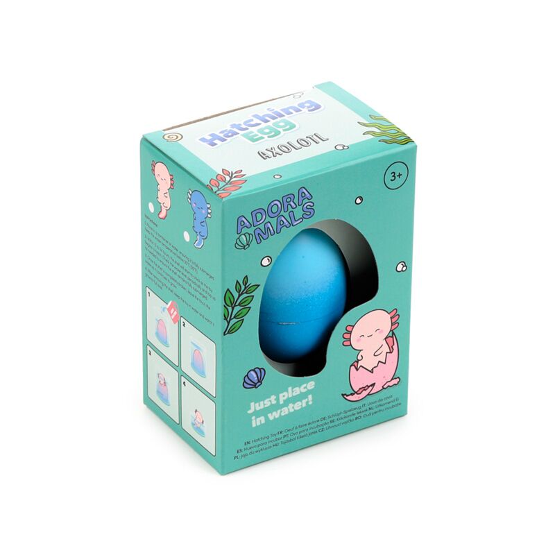 Salamöndrur  egg til að setja í vatn