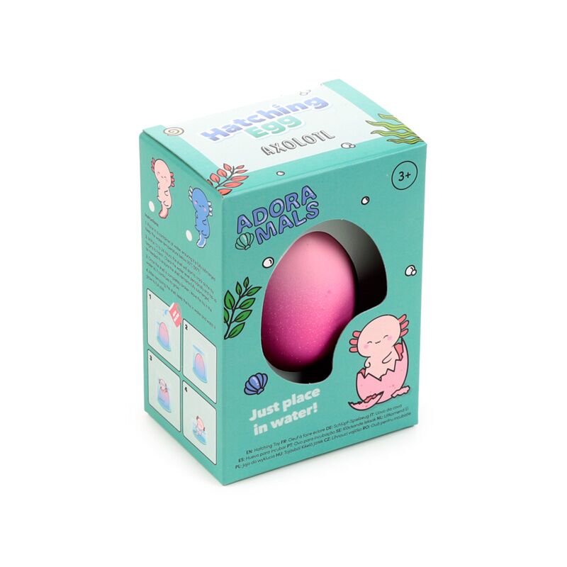 Salamöndrur  egg til að setja í vatn