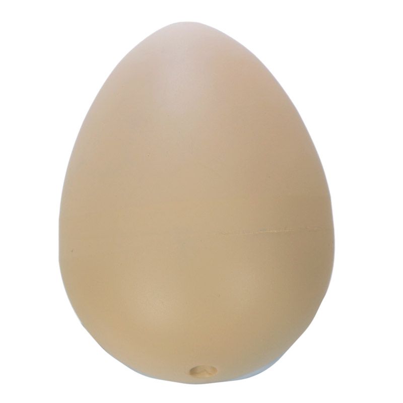 Egg - risaeðlu