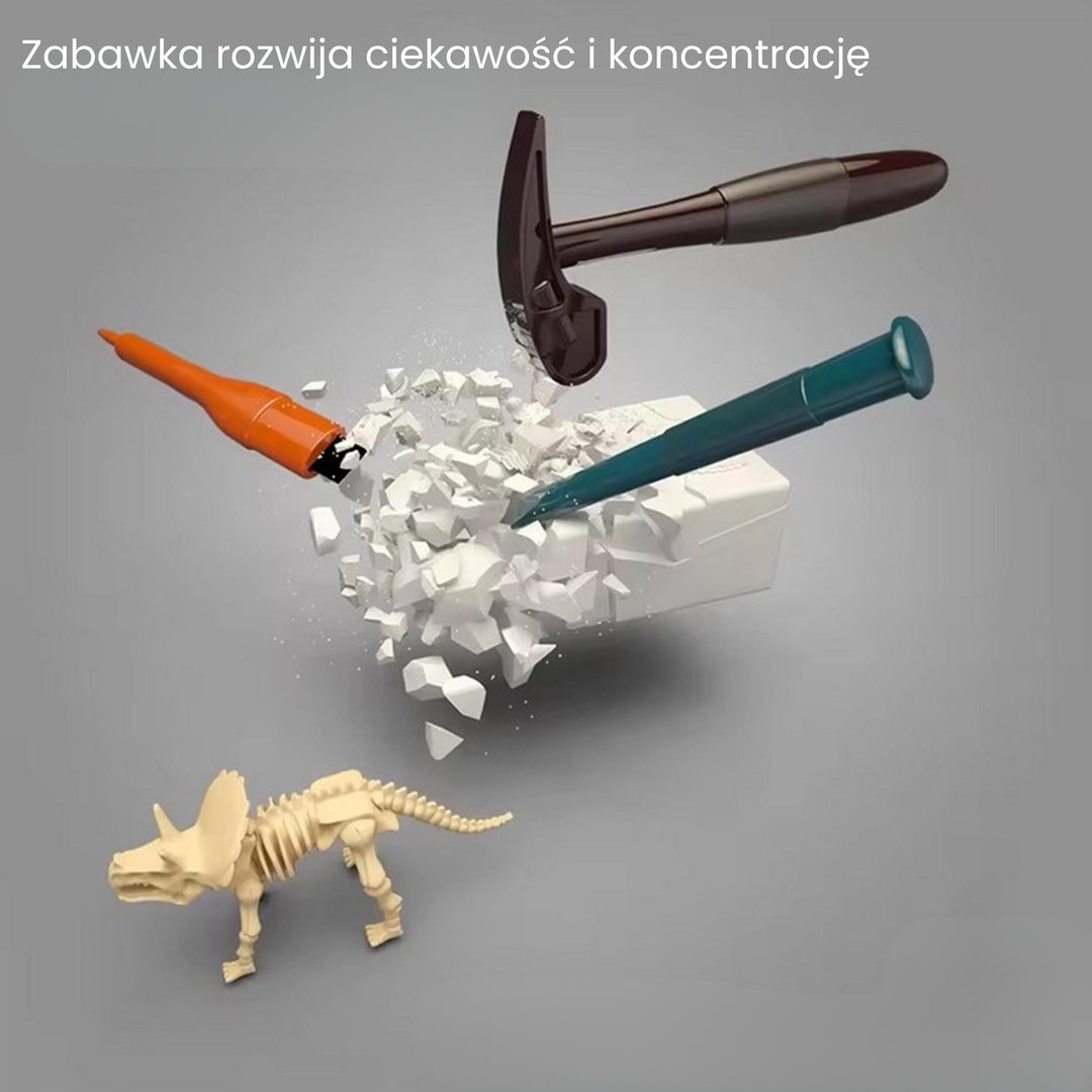 WOOPIE Ungur fornleifafræðingur — 6 risaeðlubein úr gifsi