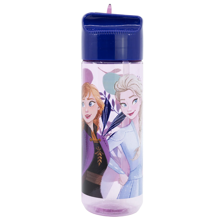 Vatnsbrúsi - Frozen 540 ml