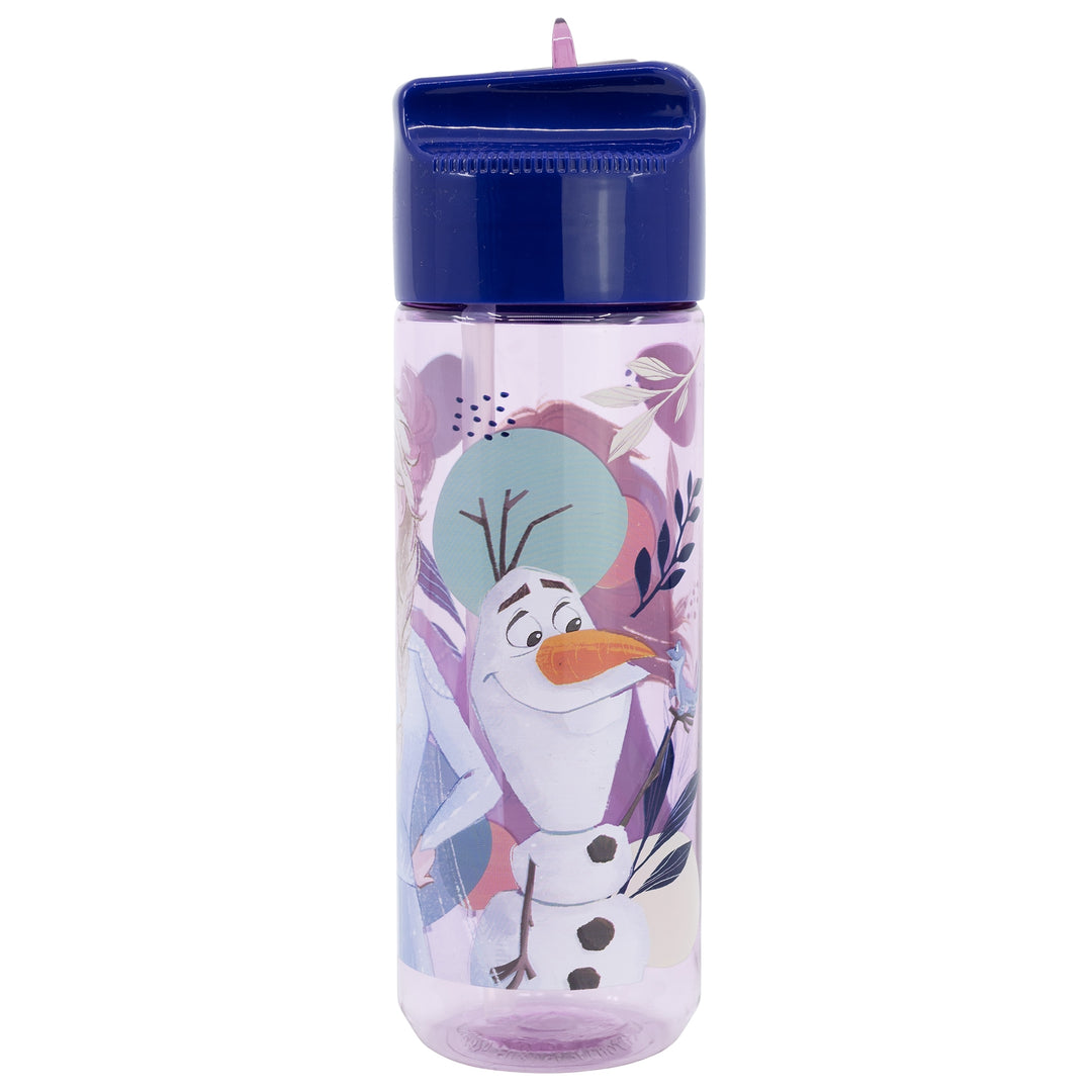 Vatnsbrúsi - Frozen 540 ml